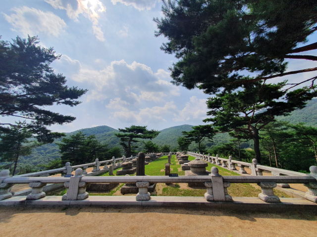 경북 성주군 초전면 세종대왕자태실. 성주군 제공