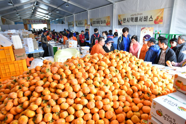 문경사과축제. 경북도 제공