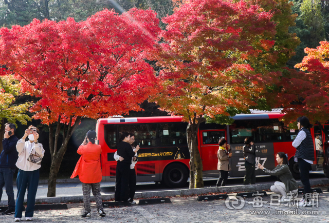 23일 대구 팔공산 순환도로를 따라 울긋불긋 물든 단풍을 배경을 나들이객들이 사진을 찍고 있다. 팔공산 자연공원 관리사무소는 다음 달 초 단풍이 절정에 이를 것으로 내다봤다. 우태욱 기자 woo@imaeil.com