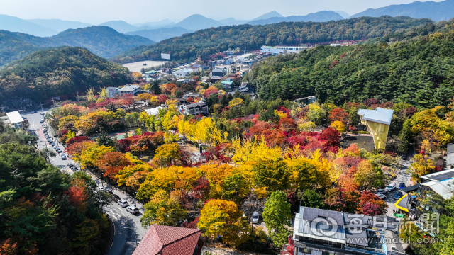 23일 대구 팔공산 순환도로를 따라 울긋불긋 물들기 시작한 단풍이 가을 정취를 더하고 있다. 팔공산 자연공원 관리사무소는 다음 달 초 단풍이 절정에 이를 것으로 내다봤다. 우태욱 기자 woo@imaeil.com