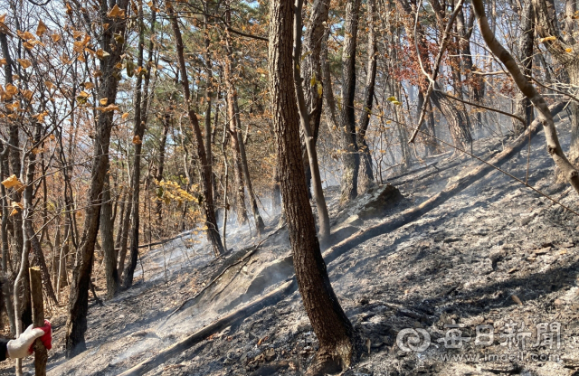 10일 오전 10시 42분쯤 경북 청송군 청송읍 월외리 53번지 주왕산국립공원 내에서 산불이 발생헸다. 청송군 제공