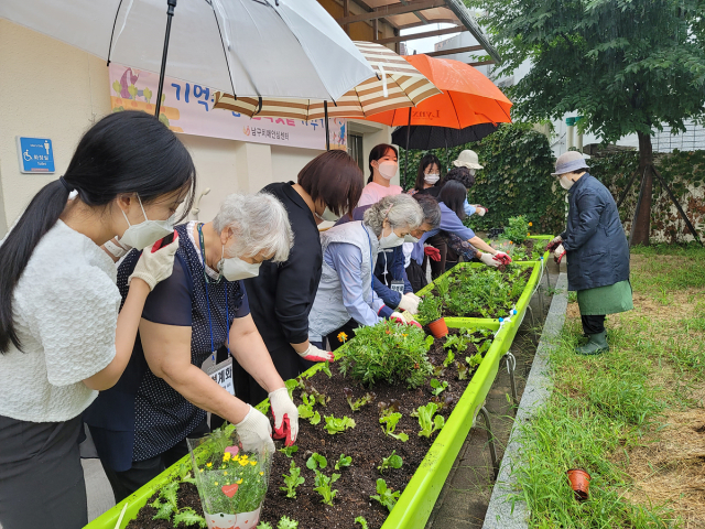 대구시 농업기술센터가 진행 중인 농업치유 프로그램 참가자들이 화분에 심은 식물을 돌보고 있다. 대구시 농업기술센터 제공.