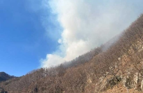 부산 강서구 산불 현장. 부산시 제공