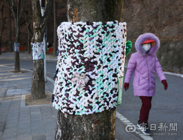 2일 대구 동구 봉무나비생태공원 가로수에 산업폐기물인 양말목을 재활용해 팔공사랑봉사대가 손뜨개질로 만든 나무옷이 입혀져 눈길을 끈다. 우태욱 기자 woo@imaeil.com