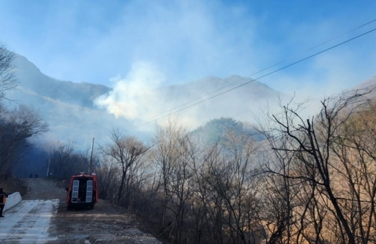 경북 영덕군 달산면 산불 발생 현장. 산림청 제공