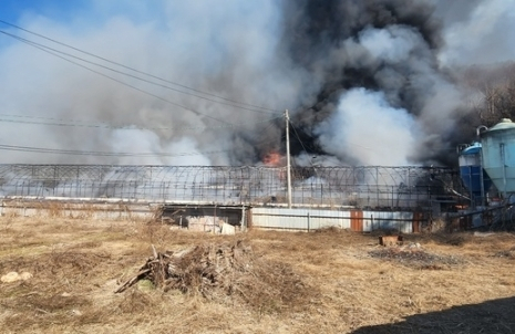 [속보] 전북 순창 양계장 화재 산불로 번져, 전남 나주서도 산불…건조특보 하 전국 5곳 산불