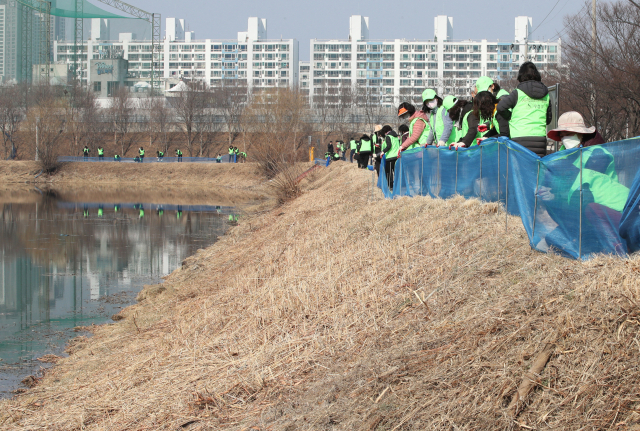 7일 전국 최대 두꺼비 집단 산란지로 알려진 대구 수성구 욱수동 망월지에서 자연보호대구시수성구협의회와 수성구청 관계자들이 두꺼비 로드킬 방지를 위한 펜스를 설치하고 있다. 김영진 기자 kyjmaeil@imaeil.com