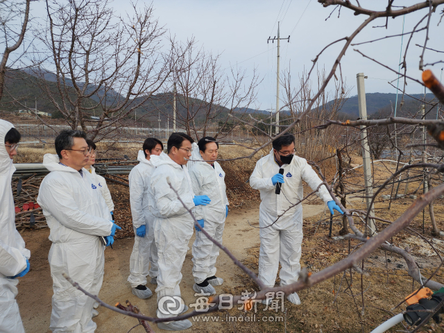 7일 경북 안동시 임하면 오대리 사과재배 농가를 방문한 김인중 농림축산식품부 차관과 권기창 안동시장, 김주령 경북도 농축산유통국장, 김창현 안동시의원 등이 사과부란병 등 과수 전염병 관련한 궤양 제거 작업에 대해 설명을 듣고 있다. 김영진 기자