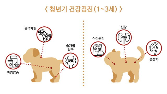 장년기 질병과 건강검진