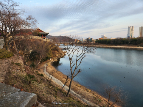 [내가 읽은 책] 도서관, 복합문화 공간이 되다