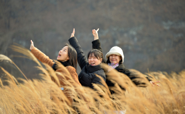 병산서원 갈대숲. 안동시 제공