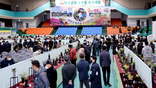 제4회 한국춘란무명품 전국대회 모습. 합천군 제공