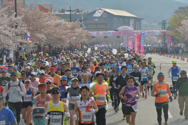 지난 2018년 열린 경주벚꽃마라톤대회 모습. 경주시 제공