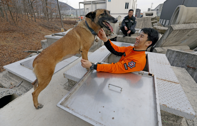 튀르키예 지진 긴급구호대 1진 임무를 마치고 복귀한 송민용(맨 앞), 김원현 핸들러가 구조견 토리와 함께 22일 대구 달성군 중앙119구조본부 건물붕괴 훈련장에서 인명구조 수색훈련을 하고 있다. 김영진 기자 kyjmaeil@imaeil.com