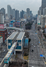 대구 도시철도 3호선 수성구민운동장역에서 동대구역 방면으로 바라본 엑스코선 히말라야시다 구간. 매일신문 DB