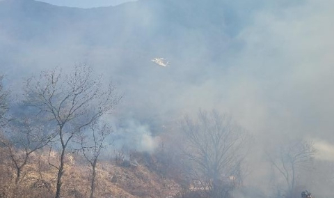 3일 오후 1시 8분쯤 영천시 화북면 정각리 보현산 자락에서 발생한 산불 현장. 경북소방본부 제공