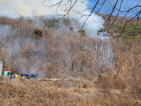 [속보] 경산 병풍산 산불 헬기 6대 투입…광주·대전·경주 등 5일 반나절에만 전국 11건