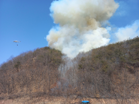 경북 청송 산불 하루만에 재발화