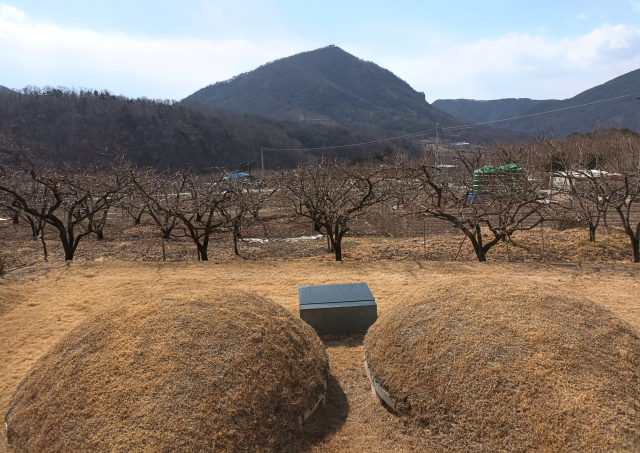 노태우 대통령 조부모 묘소에서 바라 본 조안산