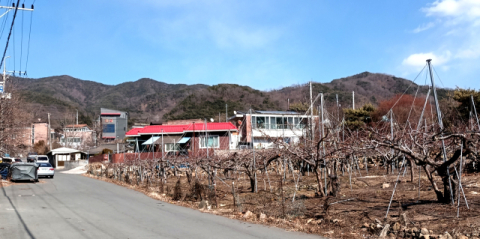 [노인영의 풍수 이야기] <9> 대구 동구 신용동 용진마을