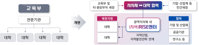 지역 혁신중심 대학지원체계.