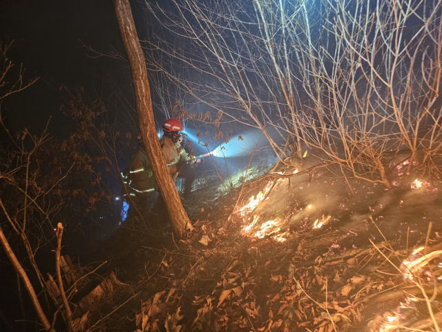 119 산불특수대응단이 산불을 진화하고 있다. 경북 소방본부 제공