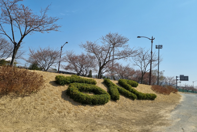 경주시 황성동 행정복지센터가 최근 북천변 경사면에 조성한 화단이 오가는 시민의 눈길을 사로잡고 있다. 경주시 제공