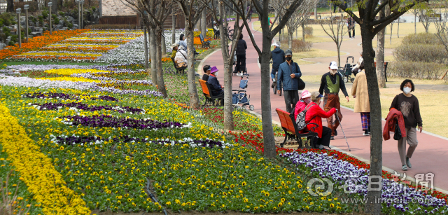 22일 오후 경산시 옥곡초등학교 인근 남천 둔치에 팬지, 비올라 등 봄꽃과 초화류가 식재된 