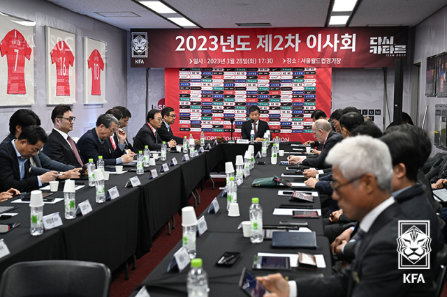 대한축구협회는 28일 서울월드컵경기장에서 이사회를 열고 징계중인 축구인 100명에 대한 사면 조치를 의결했다고 밝혔다. 대한축구협회 제공