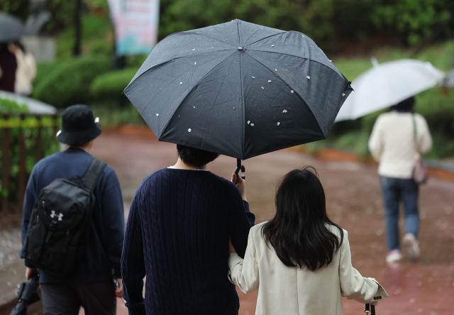 수도권 지역에 비가 내린 5일 오후 서울 석촌호수에서 시민이 든 우산에 벚꽃이 떨어져 있다. 연합뉴스