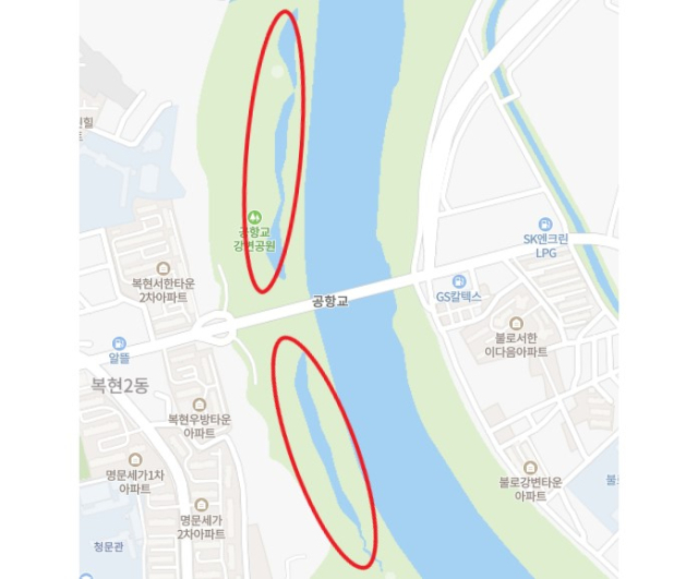 대구 북구의 공항강변공원을 따라 형성된 인공 습지. 공항교 기준으로 북쪽에 있는 습지 하부로 갈수록 육지화가 심각했다. 네이버지도 갈무리