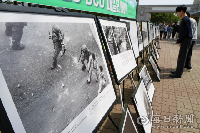 5.18 광주민주화운동을 43주년을 앞두고 10일 대구대 경산캠퍼스에 전두환 신군부에 의해 자행된 광주 참상을 기록한 사진 50여 장이 전시돼 있다. 대구5.18민중항쟁기념행사위원회가 마련한 이 사진전에는 1980년 5월 당시 영남대, 계명대, 대구대 등 지역 대학가 시위를 취재한 매일신문 제공 사진 20여 장도 함께 전시 중이다. 우태욱 기자 woo@imaeil.com