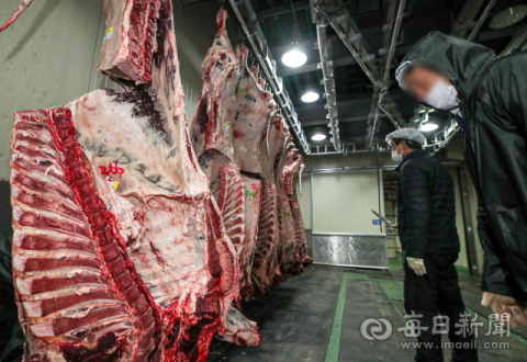 대구 공설 도축장 운영 중단 검토…도매시장·농가 