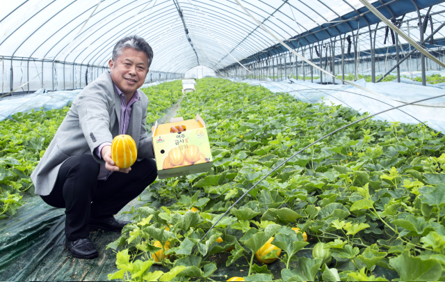 김낙송 금사참외축제추진위원장은 