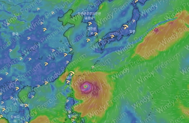 유럽중기예보센터(ECMWF) 모델 예상 6월 1일 0시 태풍 마와르 위치