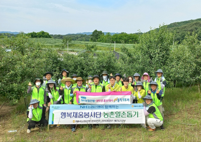 NH농협은행 경북본부(본부장 임도곤) 행복채움봉사단과 NH농협은행 예천군지부(지부장 이철수), 대학생 봉사단 N돌핀 단원 등 30여 명은 1일 예천군 감천면 증거리 농가에서 사과적과 봉사할동을 했다. 경북농협 제공