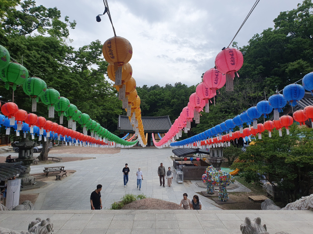 지난 1일 오후 2시 대구 대표 사찰 동화사에는 평일인데도 많은 관람객이 찾았다. 배주현 기자