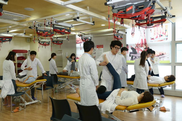 대구보건대 물리치료학과 학생들이 실습을 하고 있는 모습. 대구보건대 제공