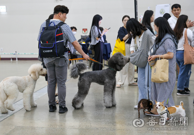 기사 이해를 돕기 위한 자료사진. 매일신문 DB