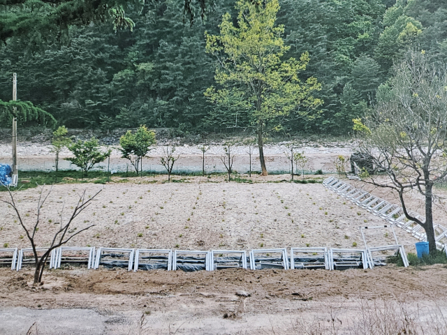 주성열 울진군체육회장이 육상 경기용 허들을 자신의 농장으로 가져가 울타리로 사용했던 모습. 독자제공