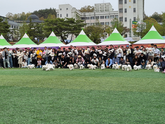 꼬똥 달리기 대회가 시작됐다. 참가자들이 출발선에 일렬로 쭉 섰다.