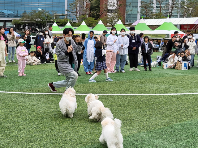 꼬똥들이 사회자를 방해하고 있다. 