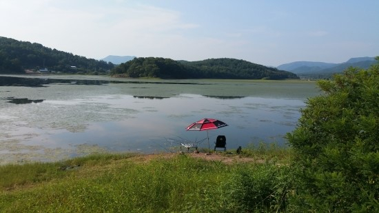 의성군 안계면의 한 저수지 전경. 기사와는 관계 없음.