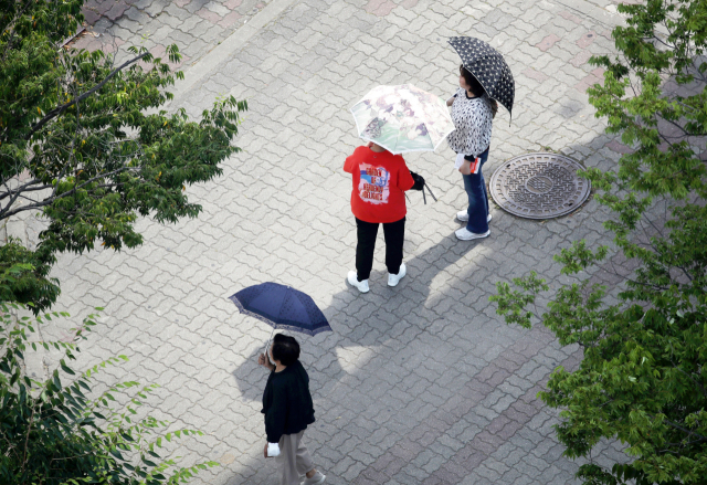 연일 폭염특보가 이어지고 있는 19일 오후 광주 서구 치평동에서 시민들이 햇빛을 가리는 양산을 쓰고 걷고 있다. 연합뉴스