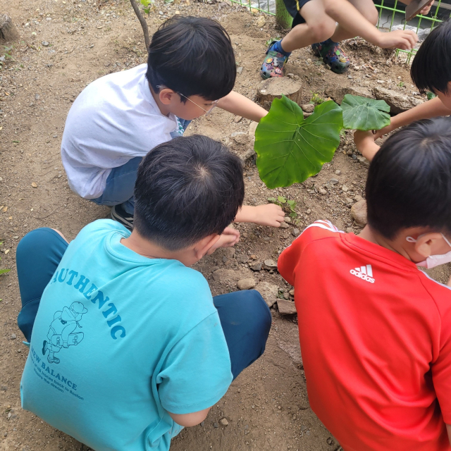 학교에서 친구들과 권도현 군과 김도현 군.