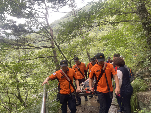 지난 9일 오전 포항시 북구 송라면 내연산에서 산행 중 실족사고를 당한 60대 여성을 119구조대원들이 구조해 하산하고 있다. 포항북부소방서 제공.