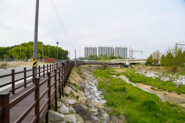 지난 4월 설치된 서천과 원당천을 연결하는 데크로드 보행로. 영주시 제공