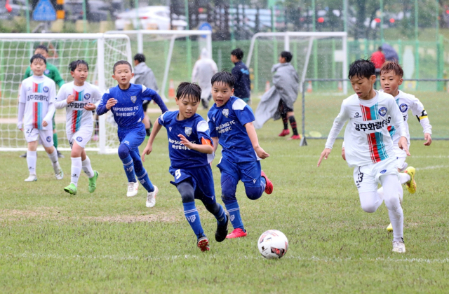 지난해 열린 화랑대기 전국 유소년축구대회 모습. 경주시 제공