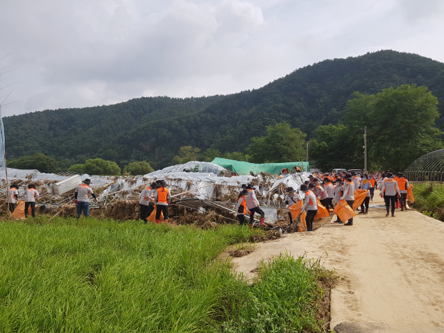 소방대원들이 경북 예천군 회룡포 일대 마을에서 비닐하우스 철거 수해복구 활동을 하고 있다. 경북소방본부 제공