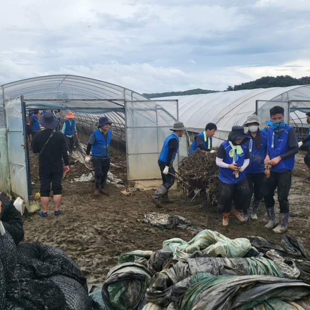 더불어민주당 의원 및 당직자, 당원들이 25일 충남 부여군 부여읍 정동리 일대 농가에서 수해복구 봉사활동을 하고 있다. 강영훈 기자